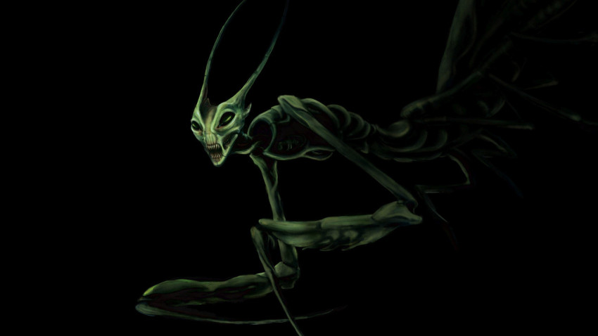 Mantis Wallpapers