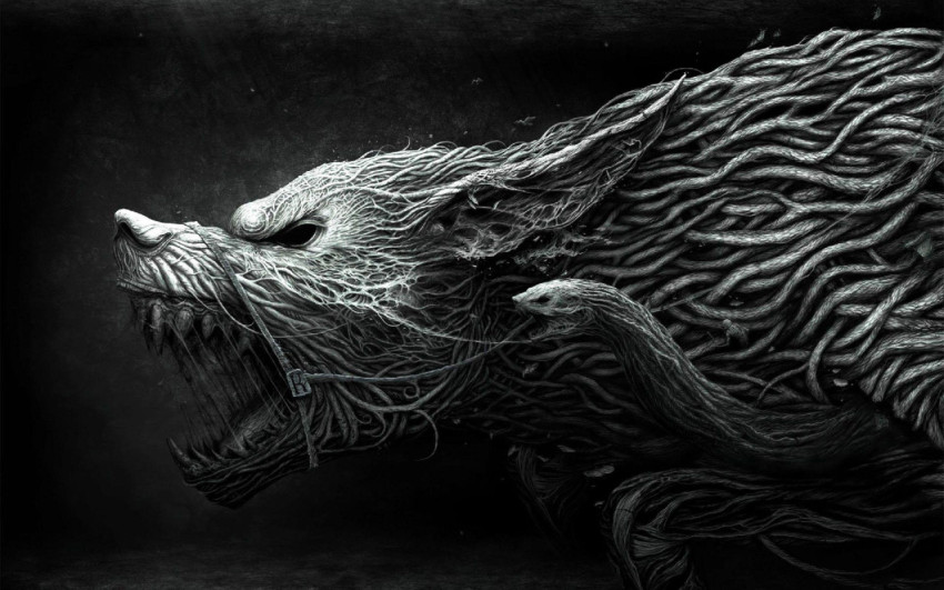 Hyena Wallpapers