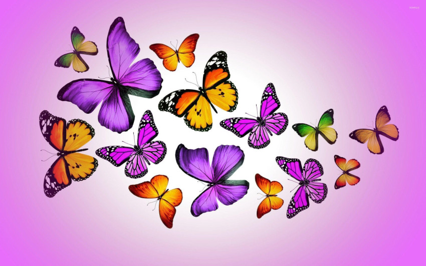Butterflies Wallpapers