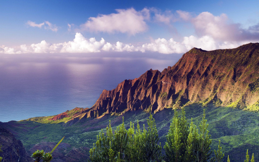 Hawaii Mountain
