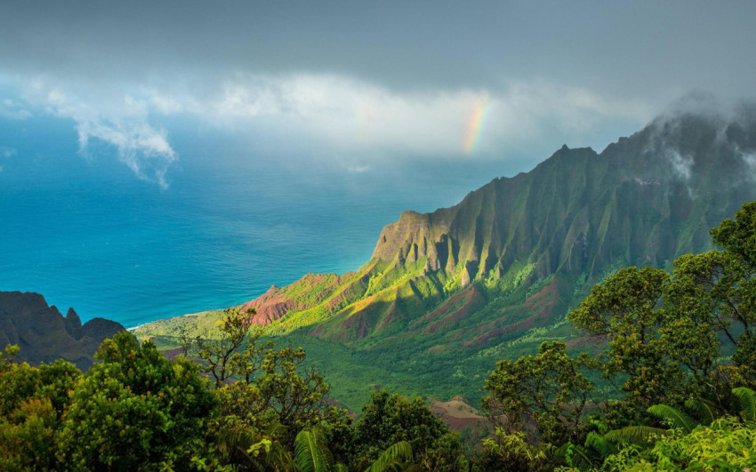 Hawaii Mountain